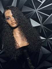 Burmese Curly Babe